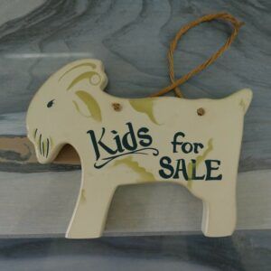 Kids for Sale Sign