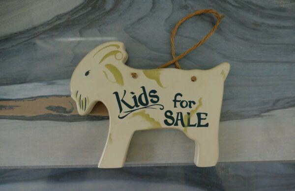 Kids for Sale Sign