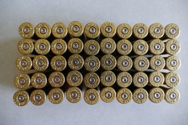 38 Special Brass Bullet Shell Casings