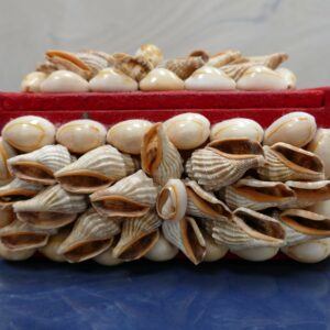 Shell Covered Velvet Lined Trinket Box